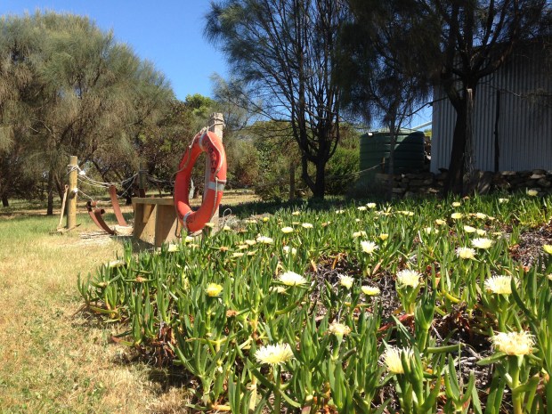 Sarah has many quirky pieces of sculpture, including this nautically theme life ring next to a sea of pigface