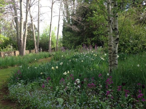 The Churchills converted this former sheep paddock into a wild garden in the early 1980s