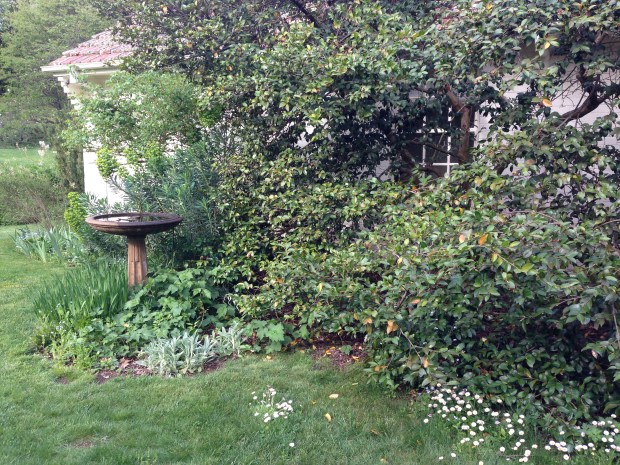 The house seems to sink into the garden; both merge into one another