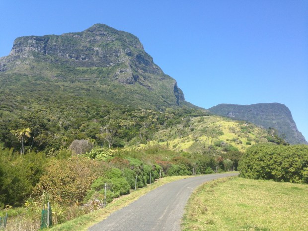 The road just by the airport; but you'd never have guessed it. I love these colours