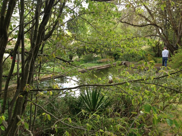 There are so many stunning vistas at Kiloren; here looking through the trees towards the converted swimming pool (notice the little wildlife ramp at the far side; so sweet!)
