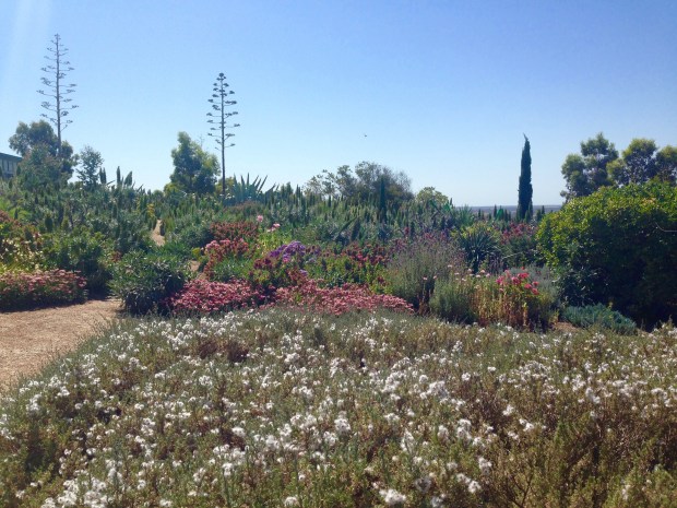 These pastel pinks and white create a romantic feel, despite the bold textures and forms