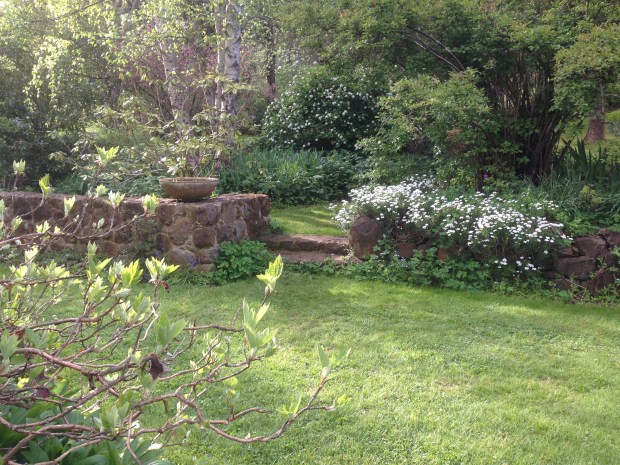 This is naturalistic planting at its best; look at the seedlings in this original Edna Walling wall