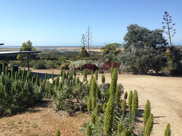 Walking down the driveway at Boat's End, you know you are in for a treat