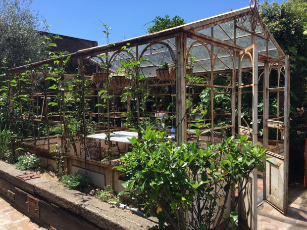 Or perhaps you'd like to have your meal in a greenhouse?