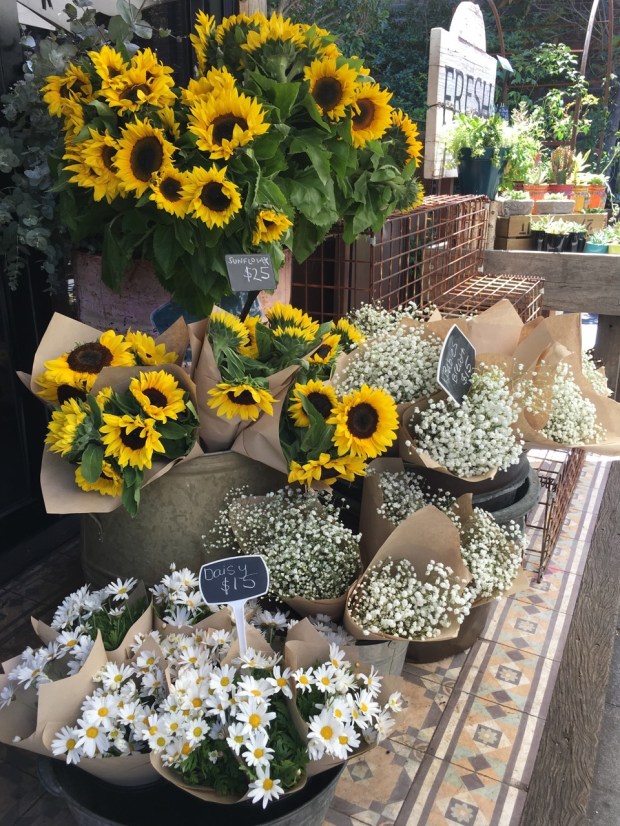 The beautiful flowers were hard to walk past (but in 37 degree heat, I did!)