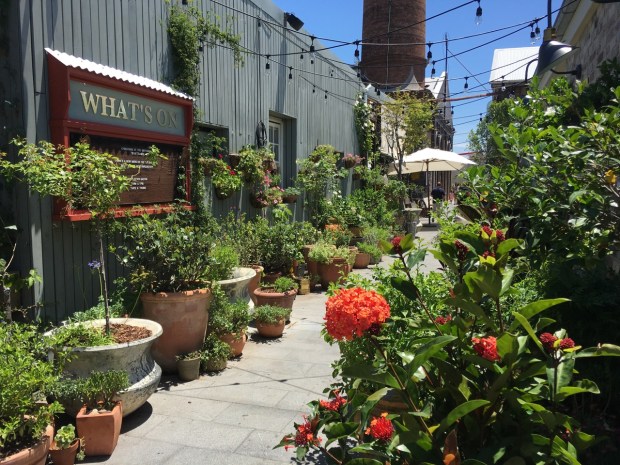 The Grounds, Alexandria