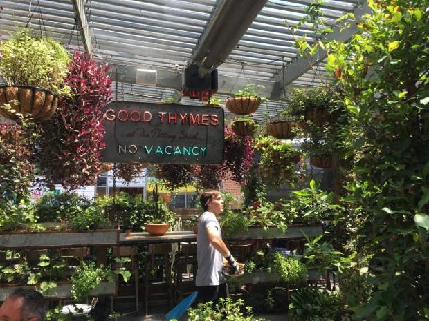 The staff seem as happy as the plants to be there!