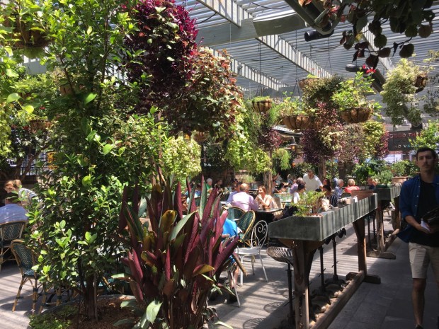 You can see the misters in place; good to see that the plants are taken care of so well (mine will be jealous!)