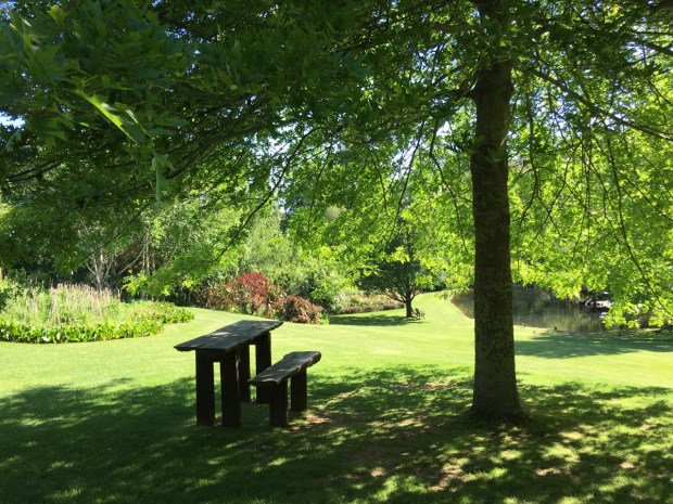 I think this would do me just fine for a work desk