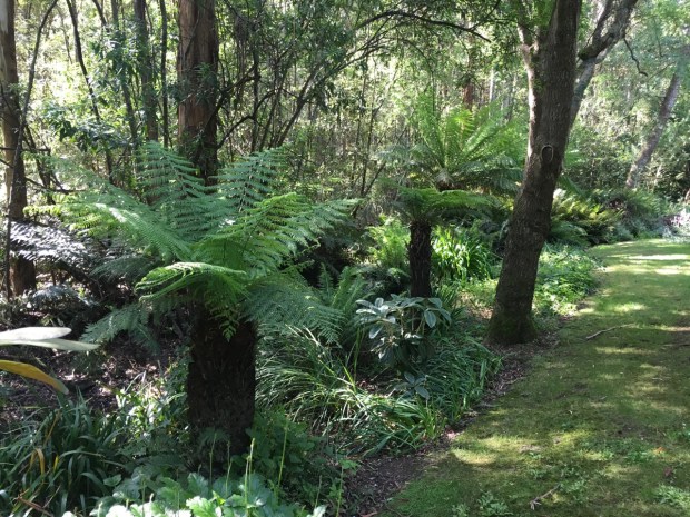 Look at the skillful way that the garden gently blends into the bush