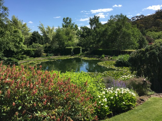 One of two stunningly natural (if made man) lakes at Tieve Tara