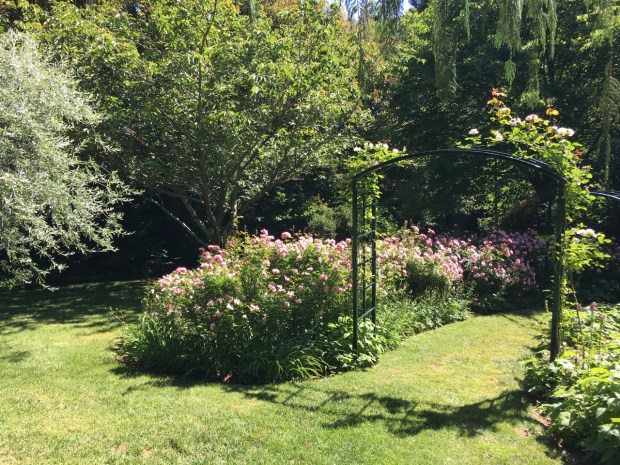 Roses greet you at the entrance to Tieve Tara