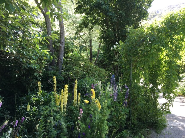 Such a mass of romantic, traditional plants, but arranged in a natural, contemporary fashion