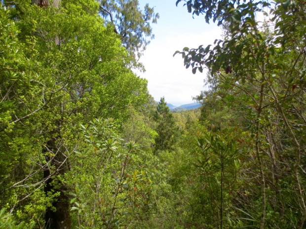 A rare peak throught the trees showed just how far we had to walk the next day...right to the mouth of the river