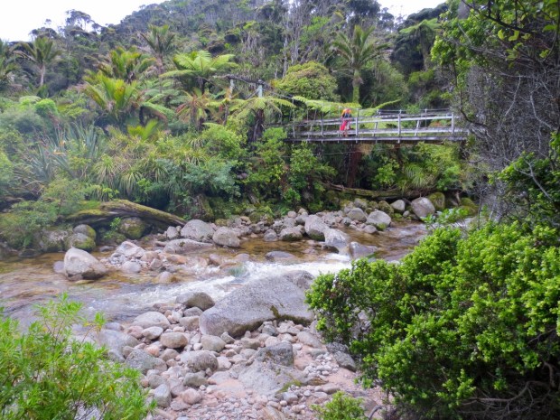 Another pretty bridge across the many creeks on the Heaphy track