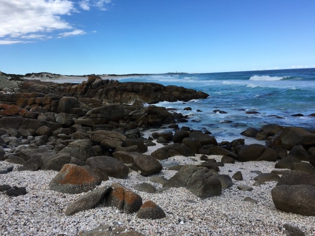 Contrasting colours show up well despite the lack of direct light