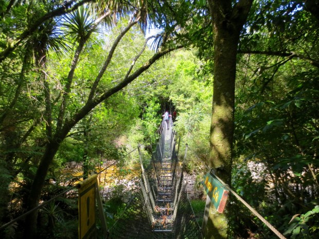 I found the rope bridges over the creeks quite fun!