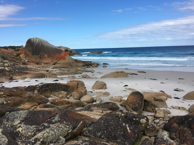 Lichen of so many colours bring life to these rocks