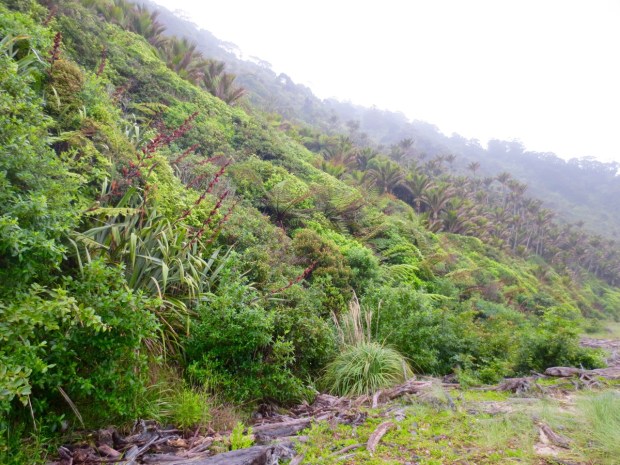 Proof that constrasting texture and form can provide just as stimulating a vista as contrasting colours