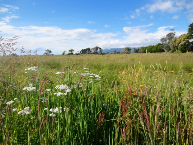 The open spaces at Karamea, where we rested at the end of the walk