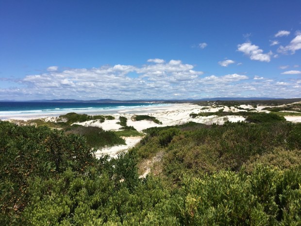 This incredible view opened up as we came over the hill near Eddystone Point