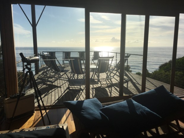 What a place to watch the Sydney to Hobart race (look really, really closely!) and whales playing. Quite magical