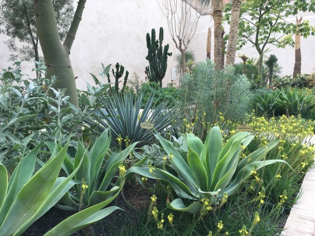 A mix of dry climate greens, softened with a mix of textures