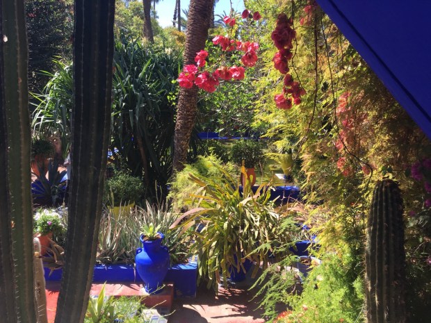 A view out from the Berber Museum; housed in the former painting studio of Jacques Majorelle