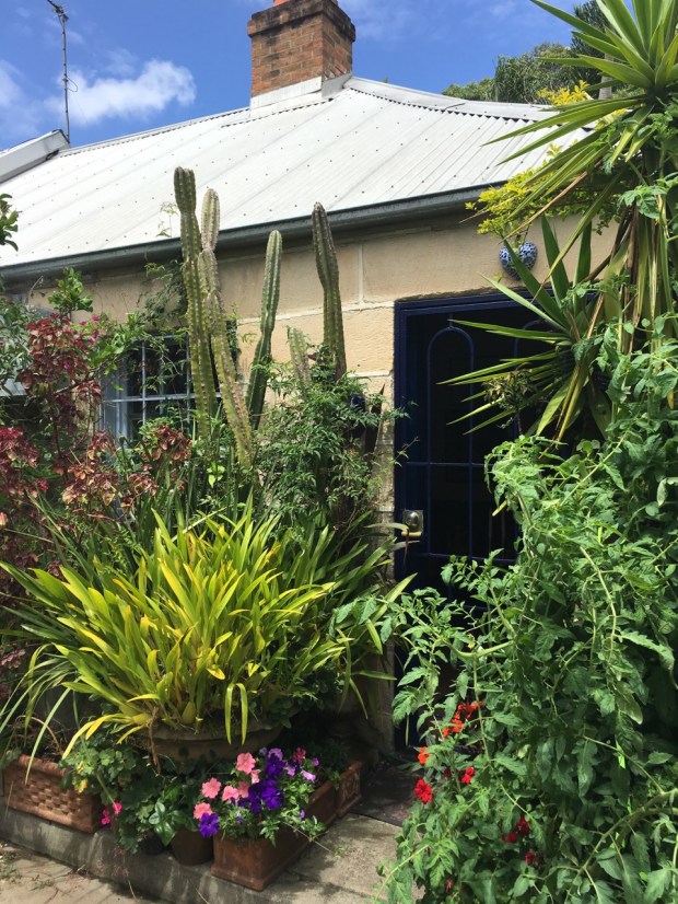 Cat Alley, Surry Hills