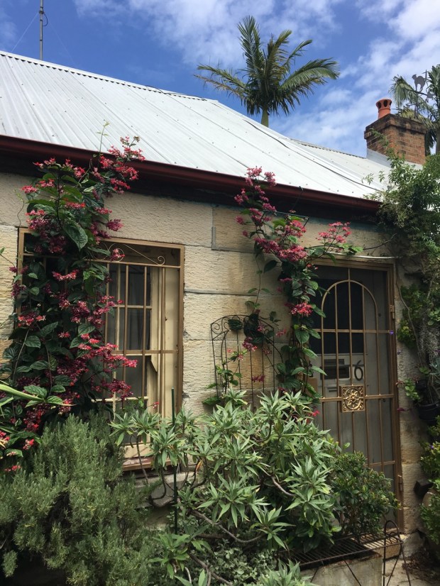 Cat Alley, Surry Hills