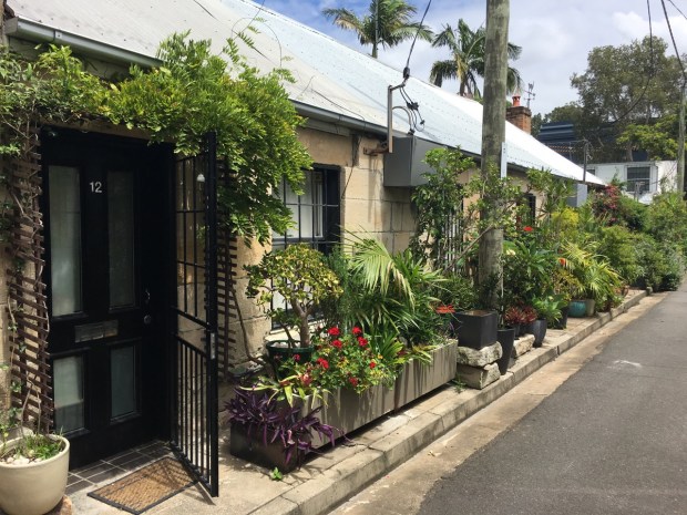 Cat Alley, Surry Hills