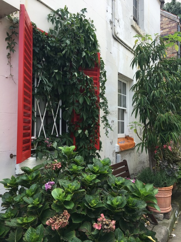 Cat Alley, Surry Hills