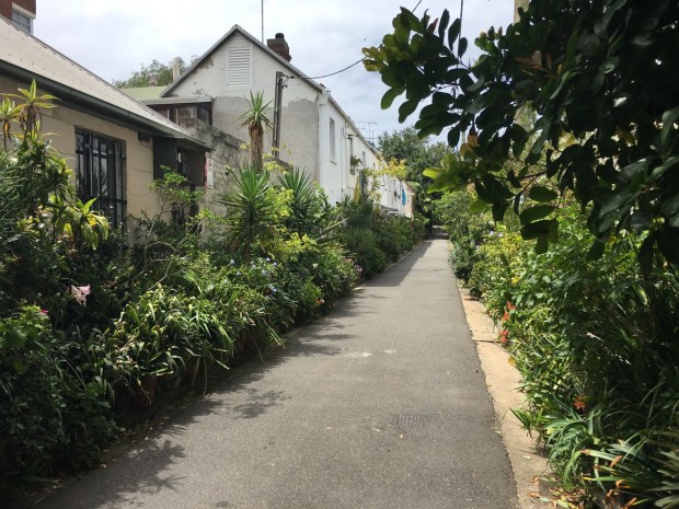 Cat Alley, Surry Hills