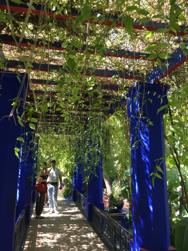 Climbers fall down throughout the garden, creating a definite connection between plant and visitor