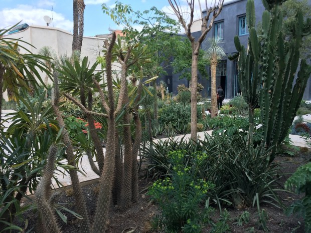 Height has been delivered on day one with mature trees and shrubs