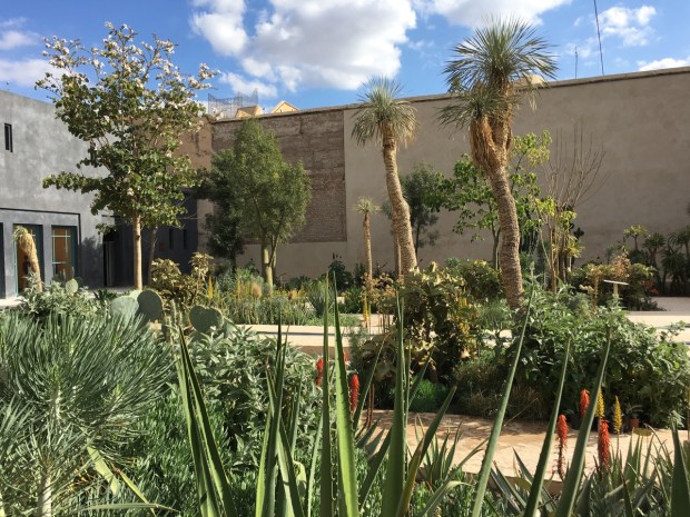 I could almost be tempted to use mature plants in future gardens after seeing this!