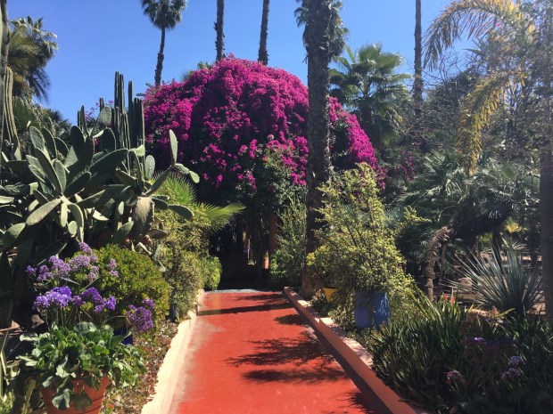 Limonium and Bougainvillea lift the subtle greens