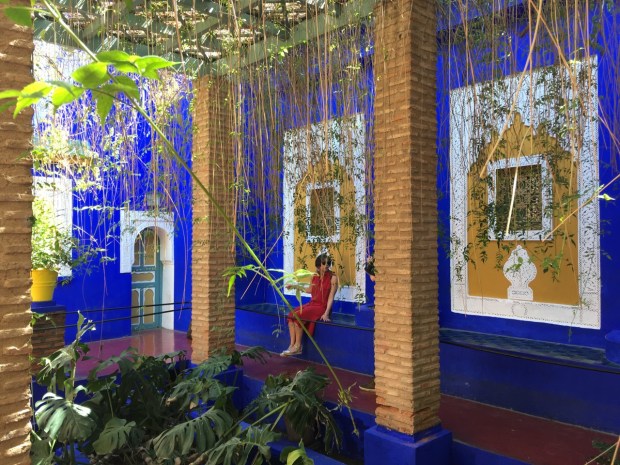 Marjorelle blue plays a strong theme in this garden. It literally merges into the bright sky and provides a fabulous foliage foil