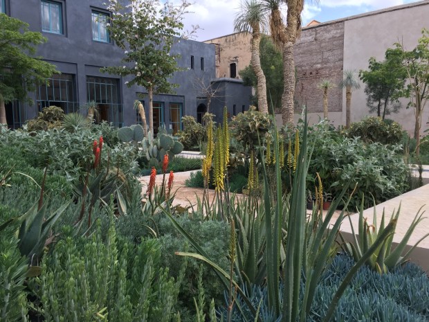 Pops of colour at Le Jardin Secret, Marrakech