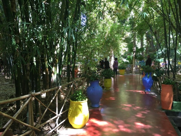 Red painted concrete seems an unlikely surface for a woodland walk, but it worked fantastically