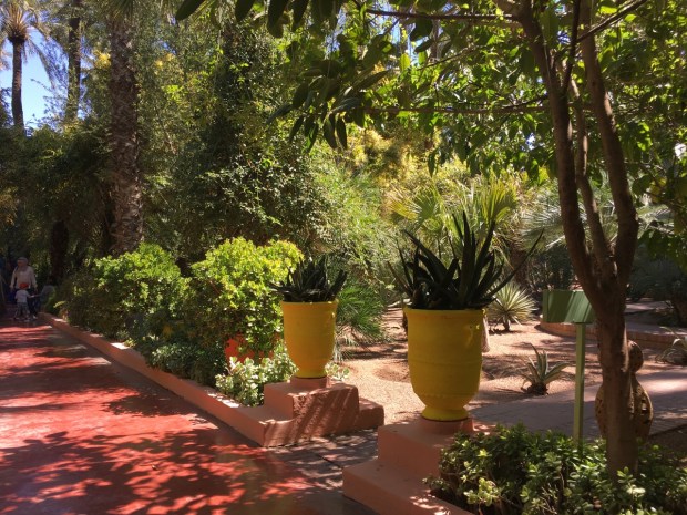 The garden was a wonderful blend of formality and informality. Symmetrical pots provide a focal point to a new section of the garden, whilst most planting is kept organic in shape
