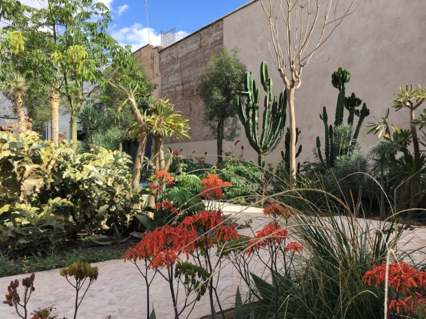 The neutral paving and walls, retaining some of the original finishes, really accentuates the dramatic plant forms