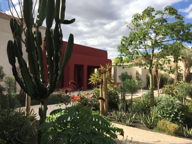 The red of these walls lifted the garden without taking it over; it was just the perfect shade