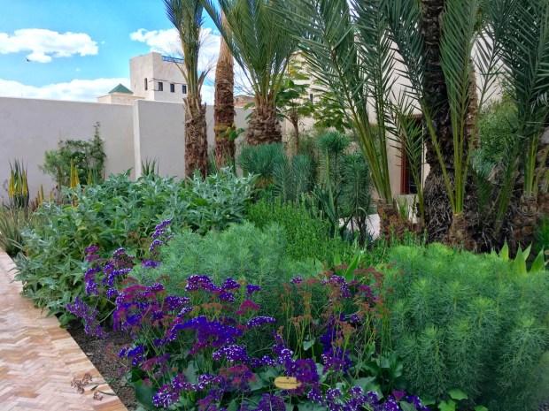 This could almost be an English herbaceous border