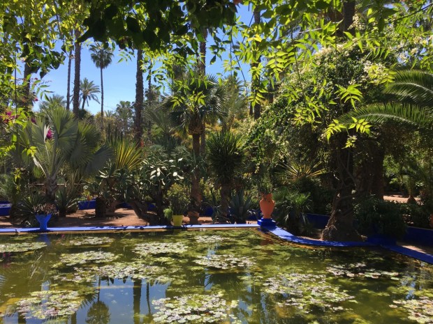 We loved the sound of frogs and cute sunbathing turtles in and around this pond!