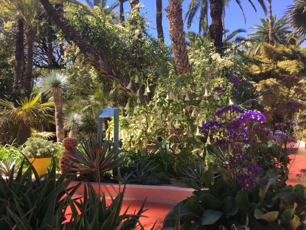 Who doesn't love a Brugmansia (Angel's Trumpet)?! Plants from so many geographic origins and yet the framework of greens produce a harmonious effect