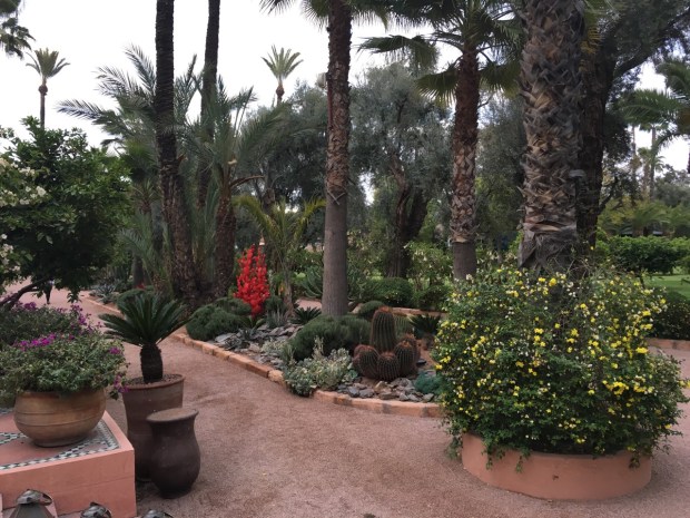 A bright red cactus sculpture: I think I loved rather than hated, in this context! At La Mamounia