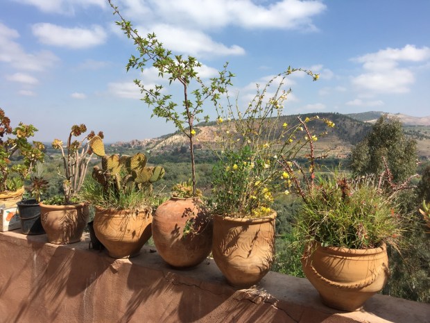 Again, repetition and variation, perfectly balanced