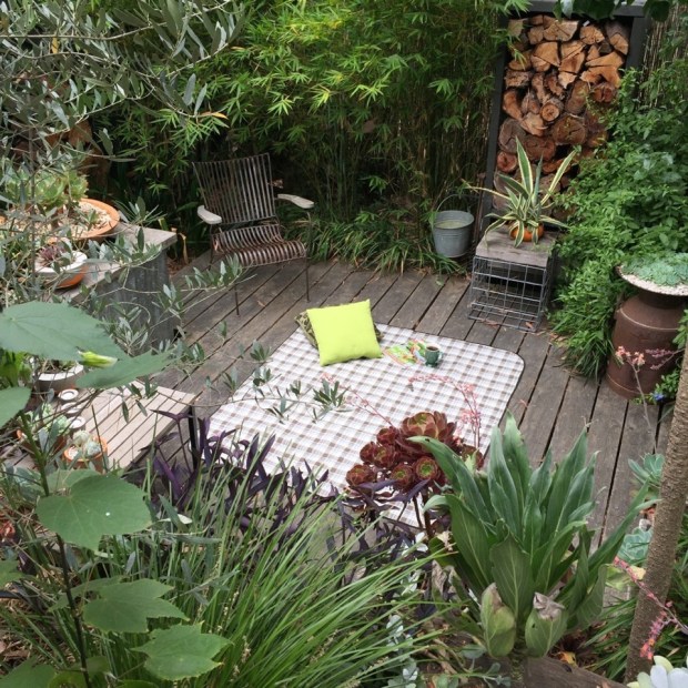 Anyone for a picnic? Photo: Steven Wells